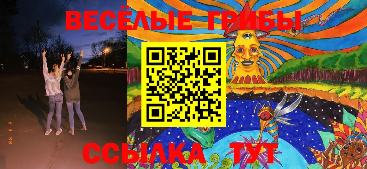 Галлюциногенные грибы GOLDEN TEACHER  Вход с VPN  Белогорск 