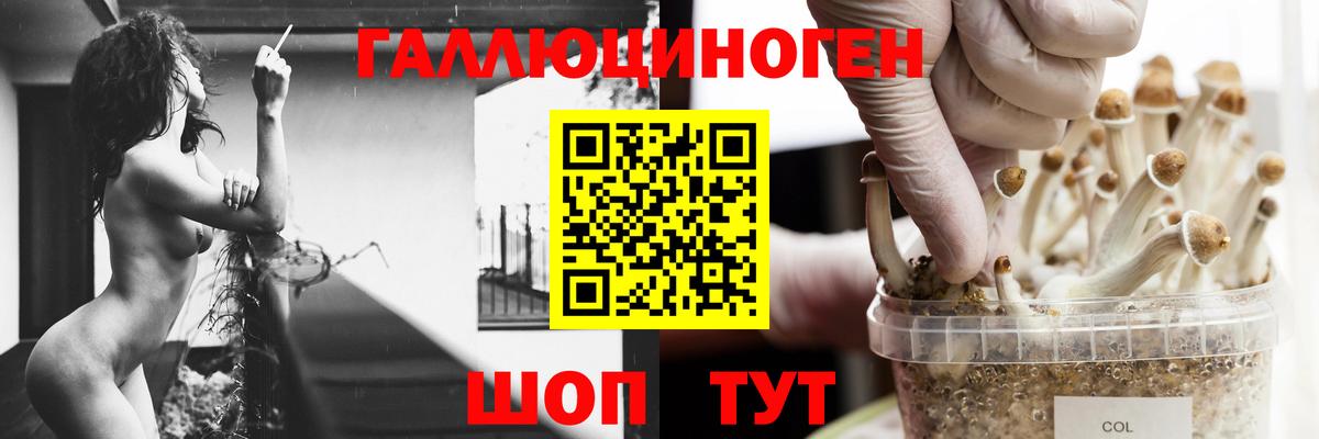 Галлюциногенные грибы Magic Shrooms Белогорск